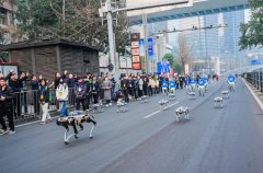 以强健程序测量“山川之城”的春日
